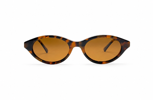 Tortoise Brown