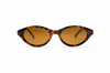 Tortoise Brown